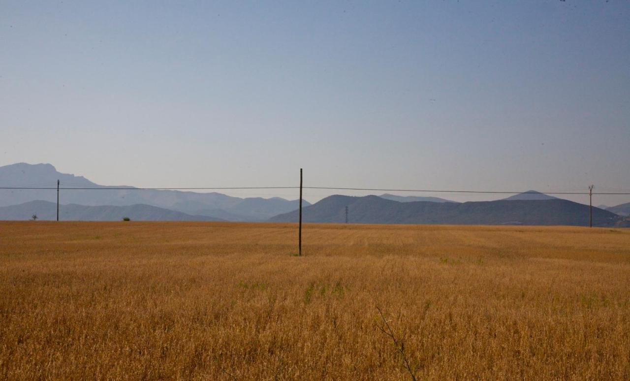 Casa Campo, Casa Rural Entre Jaca Y Anso Biniés Kültér fotó